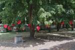2022_06_25-Dolna-Krupa-Lestival-089