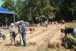 2022_06_25-Dolna-Krupa-Lestival-121