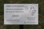 2023_04_09-Trencianske-Teplice-Lipka-zvrchovanosti-2019-001
