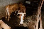 2023_06_14-Sedmerovec-Za-reportazou-u-Ing-Dana-025