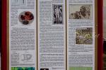 2024_08_04-Horna-Suca-025
