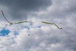 2024_09_29-Dca-Sarkaniada-002