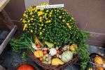 2024_10_26-DnV-Prejta-Jesenny-festival-004