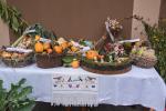 2024_10_26-DnV-Prejta-Jesenny-festival-005