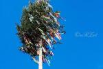 2025_04_30-DnV-Osadenie-maja-a-FS-Mladost-012-a