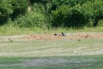 2025_06_21-Koseca-Den-otcov-085