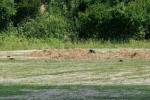2025_06_21-Koseca-Den-otcov-086