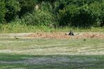 2025_06_21-Koseca-Den-otcov-087
