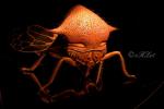 2025_06_26-BL-Mega-broucci-023-Treehopper