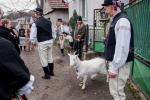 2026_02_14-Cerveny-Kamen-Fasiangy-v-Cervenom-Kameni-037