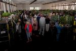2026_03_07-TN-Festival-rastlin-006