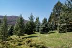 2026_04_03-Nimnica-Velkonocne-remeselne-dni-045