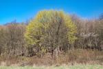 2026_04_03-Nimnica-Velkonocne-remeselne-dni-048