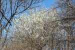 2026_04_03-Nimnica-Velkonocne-remeselne-dni-053