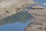 2026_04_25-AL-Durres-247