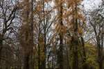 2024_11_20-Dolna-Krupa-2-div-Park-009