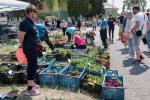 2026_05_09-Katov-Kvetinove-dni-080