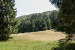 2026_06_28-Pruzina-Pruzinska-Dupna-jaskyna-015