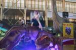 2026_07_05-DnV-Dino-Expo-Show-001