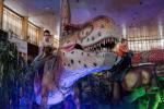 2026_07_05-DnV-Dino-Expo-Show-017
