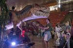 2026_07_05-DnV-Dino-Expo-Show-019