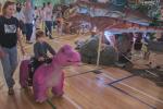 2026_07_05-DnV-Dino-Expo-Show-025