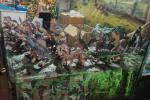2026_07_05-DnV-Dino-Expo-Show-027