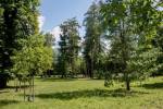 2026_07_23-Lednicke-RovneLednicke-Rovne-030
