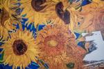 2026_08_22-BL-Vincent-van-Gogh-002