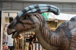 2022_05_21-BL-Dinosaury-sa-opat-vracaju-do-Centralu-001