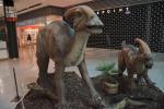 2022_05_21-BL-Dinosaury-sa-opat-vracaju-do-Centralu-004
