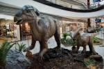 2022_05_21-BL-Dinosaury-sa-opat-vracaju-do-Centralu-005