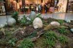 2022_05_21-BL-Dinosaury-sa-opat-vracaju-do-Centralu-006