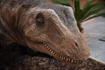 2022_05_21-BL-Dinosaury-sa-opat-vracaju-do-Centralu-010