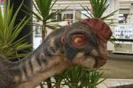 2022_05_21-BL-Dinosaury-sa-opat-vracaju-do-Centralu-015
