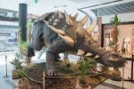2022_05_21-BL-Dinosaury-sa-opat-vracaju-do-Centralu-025