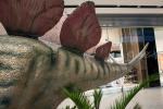 2022_05_21-BL-Dinosaury-sa-opat-vracaju-do-Centralu-038