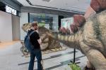 2022_05_21-BL-Dinosaury-sa-opat-vracaju-do-Centralu-039