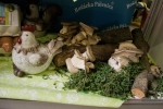 2019_05_18-Expo-Center-063
