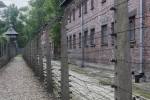 2021_08_07-PL-Koncentracny-tabor-Auschwitz-I-130