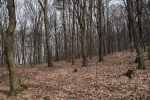 2022_03_18-TN_Opatova-Na-posiedke-s-ochranarom-014