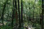 2022_08_15-TN_Opatova-Reportaz-ku-Dnu-ochrany-prirody-008