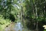 2022_05_18-Rusovce-Rusovsky-park-050