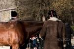 2022_02_19-Nemsova-Ranch-13-Tradicne-fasiangy-204