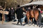 2022_02_19-Nemsova-Ranch-13-Tradicne-fasiangy-207