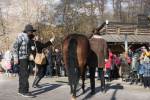 2022_02_19-Nemsova-Ranch-13-Tradicne-fasiangy-219