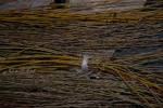 2019_04_12-Veľkonočné-tradície-trhy-ľudových-remesiel-021