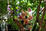 2017_03_11 Medzinárodná výstava orchideí 110