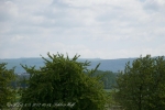 2017_05_08 Schloss Hoff, PodDevín, Bratislava 042