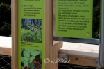 2017_10_18 Bechledova dolina 035